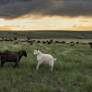 男男打屁股惩罚gav网站
